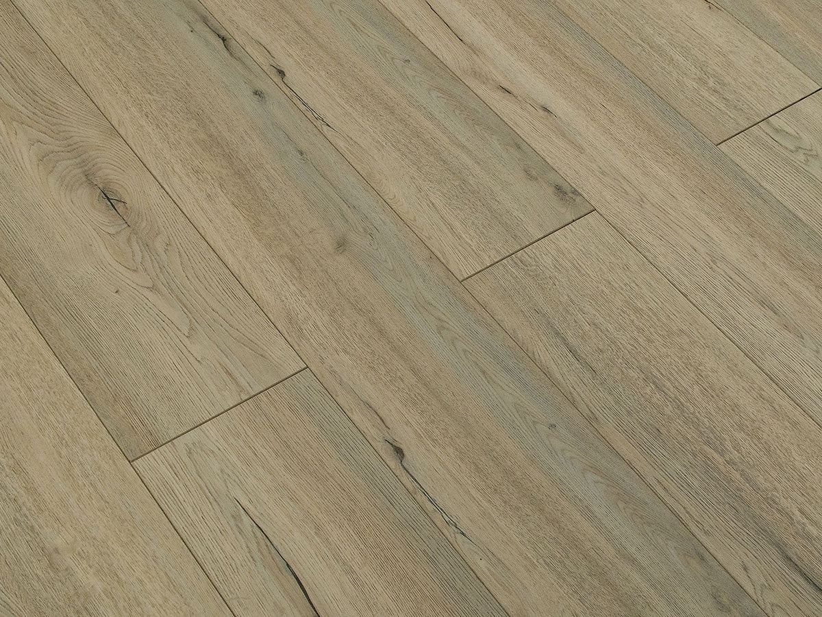 Toucan Laminate - TF6201 - F - TF 6201 - D & R Flooring