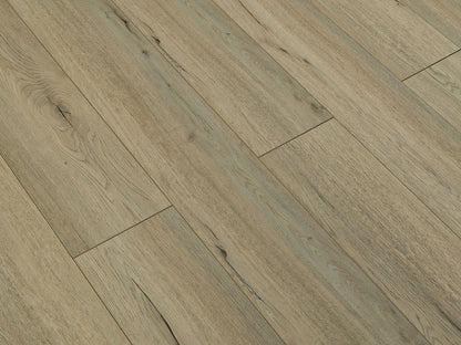 Toucan Laminate - TF6201 - F - TF 6201 - D & R Flooring