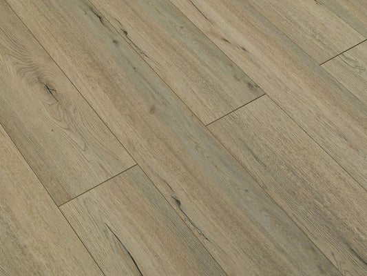 Toucan Laminate - TF6201 - F - TF 6201 - D & R Flooring