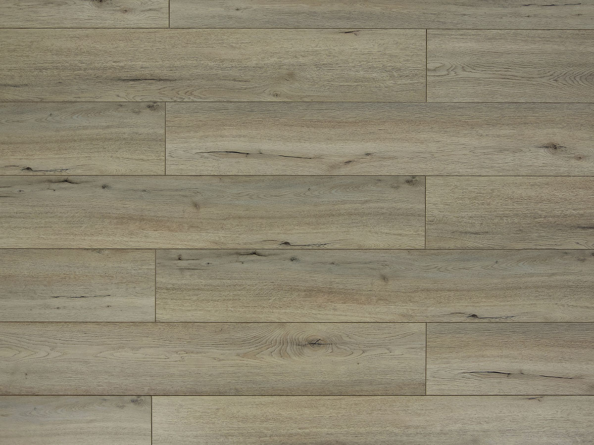 Toucan Laminate - TF6201 - F - TF 6201 - D & R Flooring