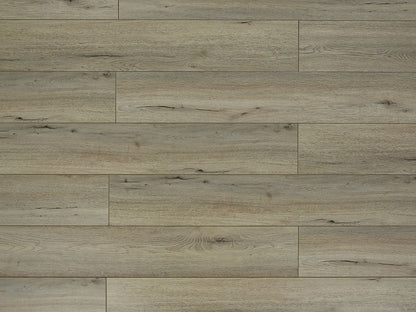 Toucan Laminate - TF6201 - F - TF 6201 - D & R Flooring