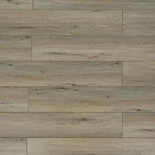 Toucan Laminate - TF6201 - F - TF 6201 - D & R Flooring