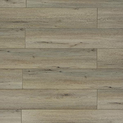 Toucan Laminate - TF6201 - F - TF 6201 - D & R Flooring