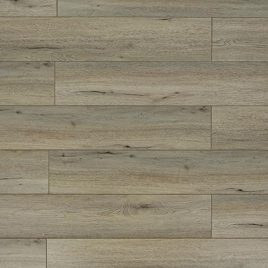 Toucan Laminate - TF6201 - F - TF 6201 - D & R Flooring