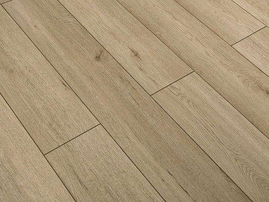 Toucan Laminate - TF6202 - F - TF 6202 - D & R Flooring