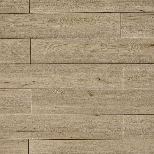 Toucan Laminate - TF6202 - F - TF 6202 - D & R Flooring