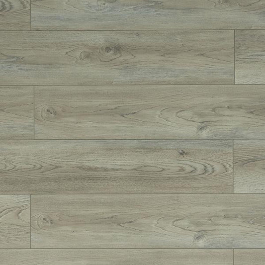 Toucan Laminate - TF6205 - F - TF 6205 - D & R Flooring