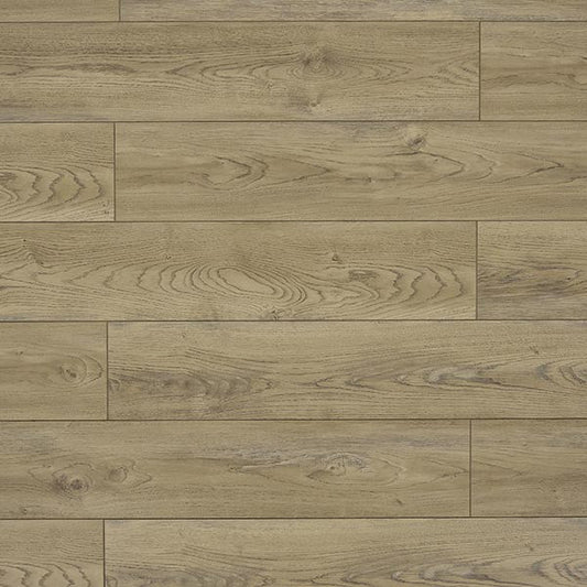 Toucan Laminate - TF6206 - F - TF 6206 - D & R Flooring