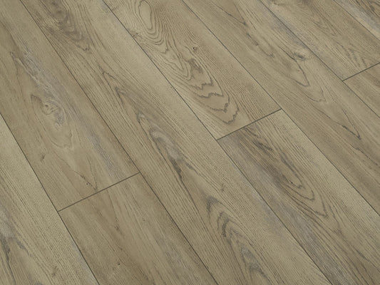 Toucan Laminate - TF6206 - F - TF 6206 - D & R Flooring