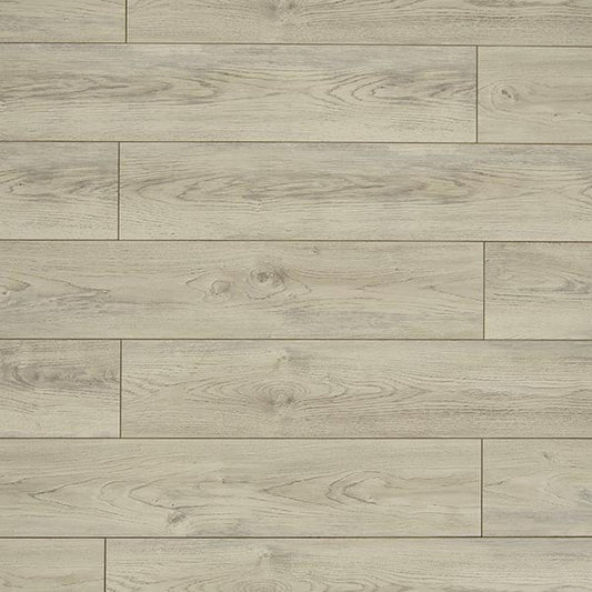 Toucan Laminate - TF6207 - F - TF 6207 - D & R Flooring