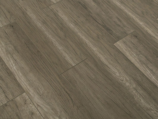 Toucan Laminate - TF6208 - F - TF 6208 - D & R Flooring