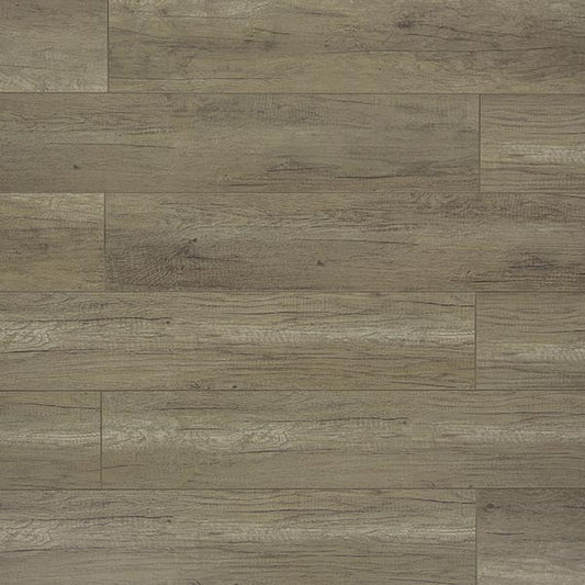 Toucan Laminate - TF6208 - F - TF 6208 - D & R Flooring