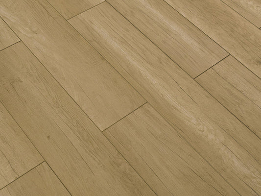 Toucan Laminate - TF6210 - F - TF 6210 - D & R Flooring