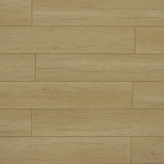 Toucan Laminate - TF6210 - F - TF 6210 - D & R Flooring