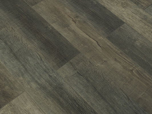 Toucan Laminate - TF6211 - F - TF 6211 - D & R Flooring