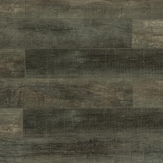 Toucan Laminate - TF6211 - F - TF 6211 - D & R Flooring