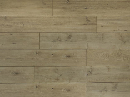 Toucan Laminate - TF6301 - F - TF 6301 - D & R Flooring