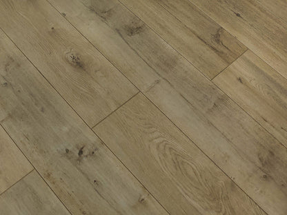 Toucan Laminate - TF6301 - F - TF 6301 - D & R Flooring