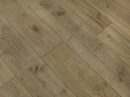 Toucan Laminate - TF6301 - F - TF 6301 - D & R Flooring