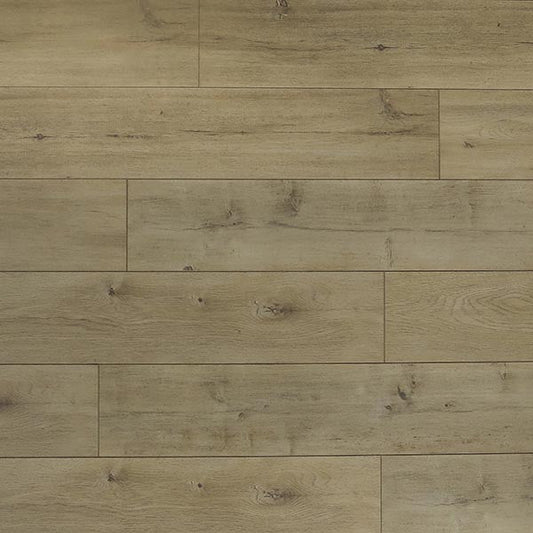 Toucan Laminate - TF6301 - F - TF 6301 - D & R Flooring