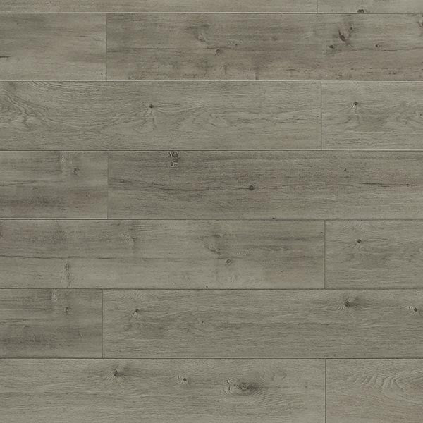 Toucan Laminate - TF6303 - F - TF 6303 - D & R Flooring
