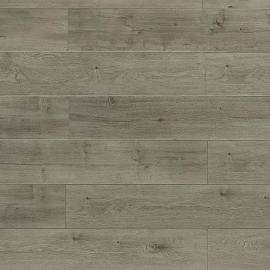 Toucan Laminate - TF6303 - F - TF 6303 - D & R Flooring