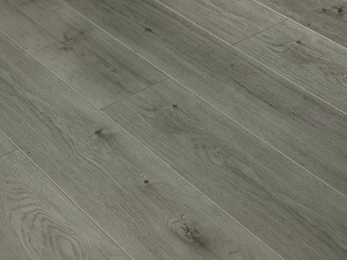 Toucan Laminate - TF6303 - F - TF 6303 - D & R Flooring