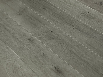 Toucan Laminate - TF6303 - F - TF 6303 - D & R Flooring