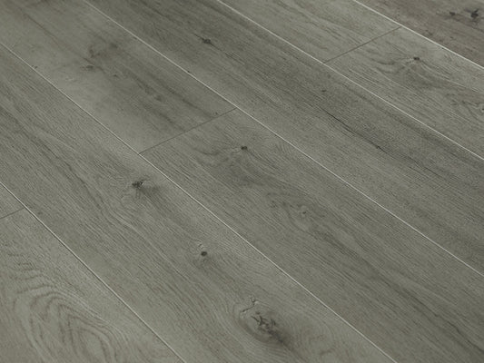 Toucan Laminate - TF6303 - F - TF 6303 - D & R Flooring