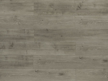 Toucan Laminate - TF6303 - F - TF 6303 - D & R Flooring