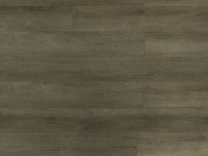 Toucan Laminate - TF6305 - F - TF 6305 - D & R Flooring