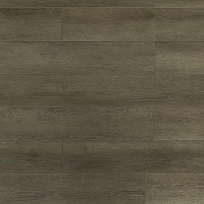 Toucan Laminate - TF6305 - F - TF 6305 - D & R Flooring