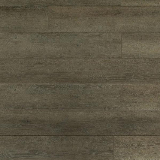 Toucan Laminate - TF6305 - F - TF 6305 - D & R Flooring
