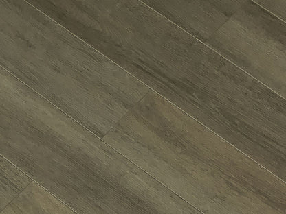 Toucan Laminate - TF6305 - F - TF 6305 - D & R Flooring