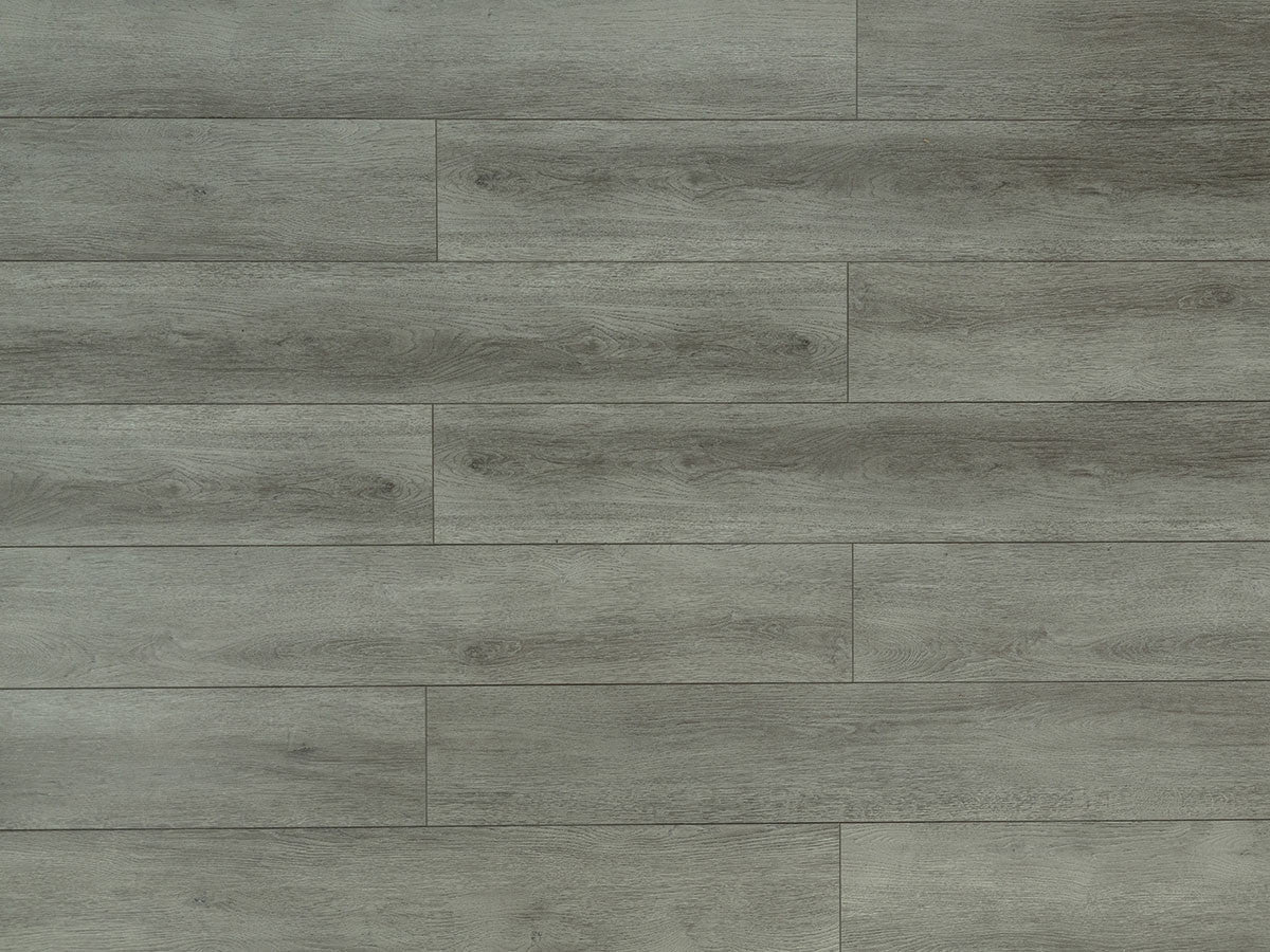 Toucan Laminate - TF6306 - F - TF 6306 - D & R Flooring