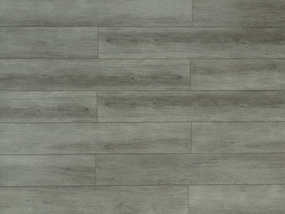 Toucan Laminate - TF6306 - F - TF 6306 - D & R Flooring