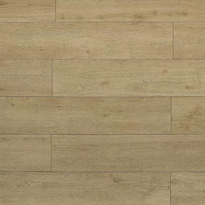 Toucan Laminate - TF6307 - F - TF 6307 - D & R Flooring