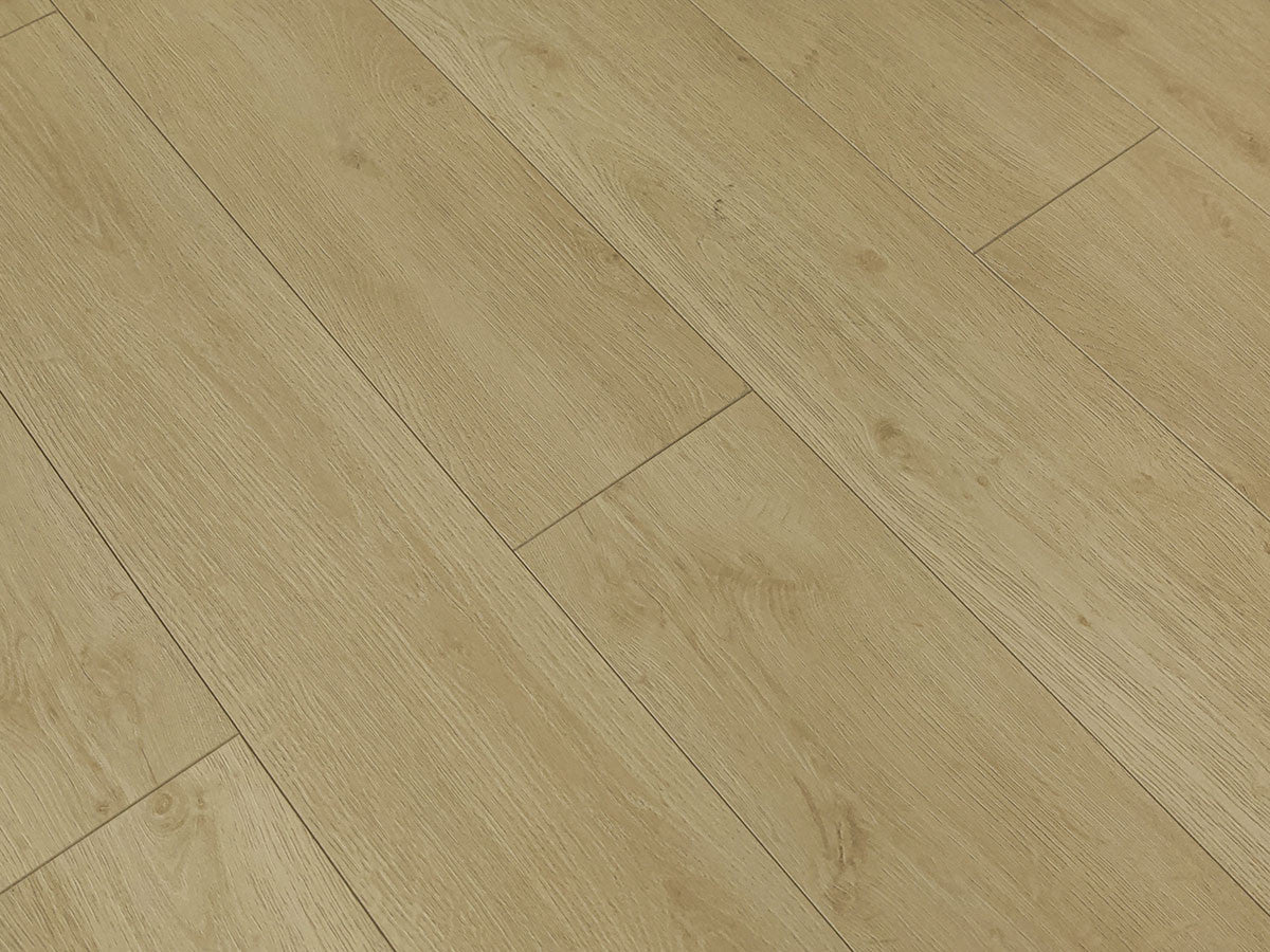 Toucan Laminate - TF6307 - F - TF 6307 - D & R Flooring