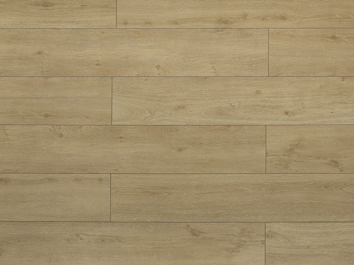 Toucan Laminate - TF6307 - F - TF 6307 - D & R Flooring