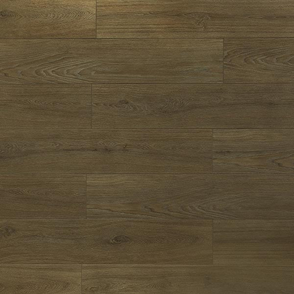 Toucan Laminate - TF6308 - F - TF 6308 - D & R Flooring