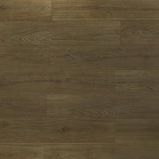 Toucan Laminate - TF6308 - F - TF 6308 - D & R Flooring