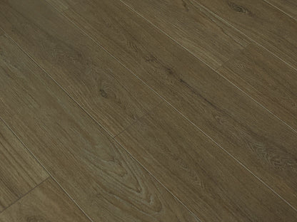 Toucan Laminate - TF6308 - F - TF 6308 - D & R Flooring