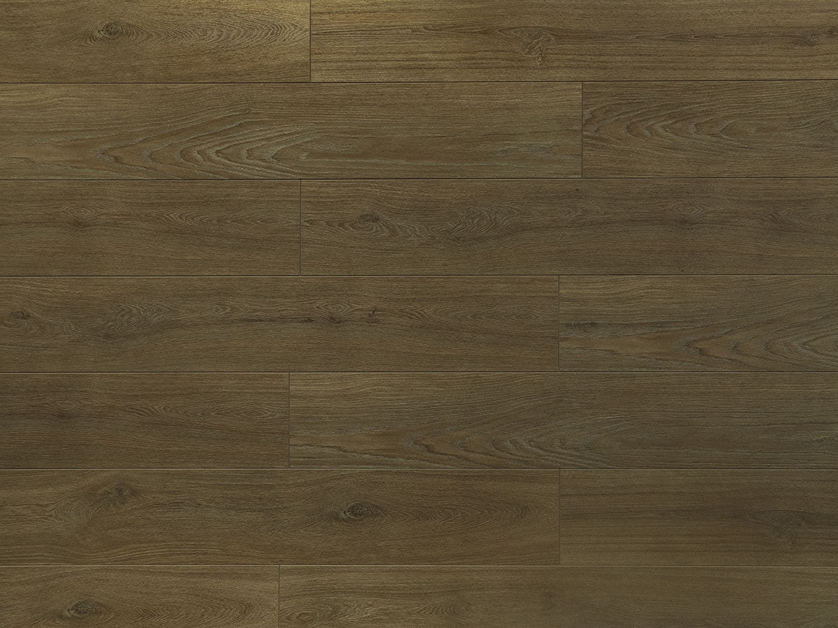 Toucan Laminate - TF6308 - F - TF 6308 - D & R Flooring