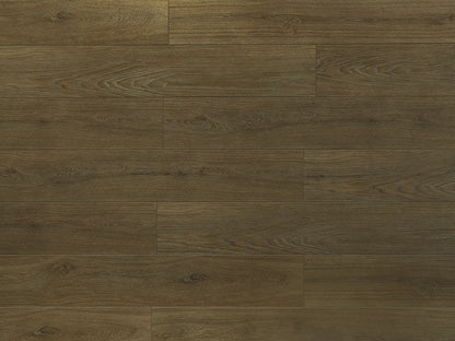 Toucan Laminate - TF6308 - F - TF 6308 - D & R Flooring