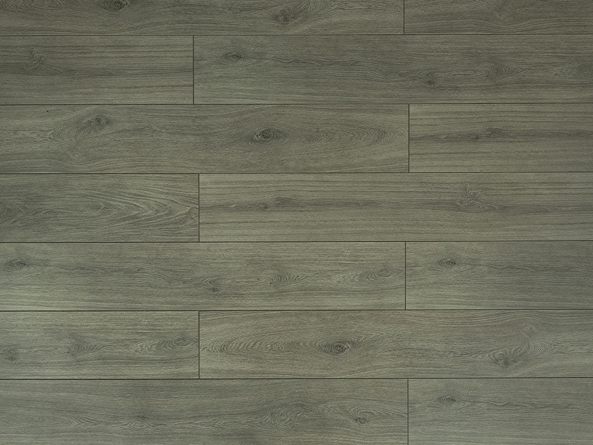 Toucan Laminate - TF6309 - F - TF 6309 - D & R Flooring