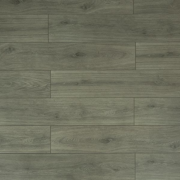 Toucan Laminate - TF6309 - F - TF 6309 - D & R Flooring