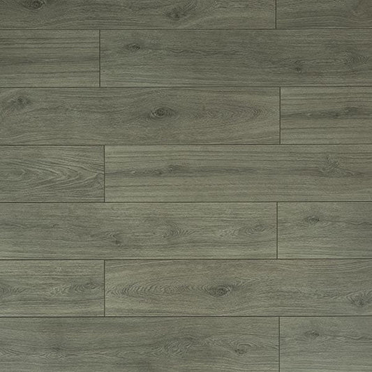 Toucan Laminate - TF6309 - F - TF 6309 - D & R Flooring