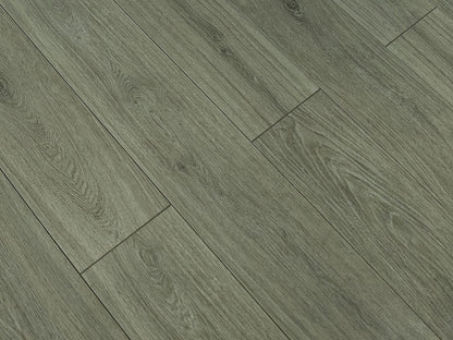 Toucan Laminate - TF6309 - F - TF 6309 - D & R Flooring