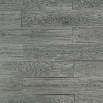 Toucan Laminate - TF6310 - F - TF 6310 - D & R Flooring