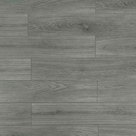 Toucan Laminate - TF6310 - F - TF 6310 - D & R Flooring